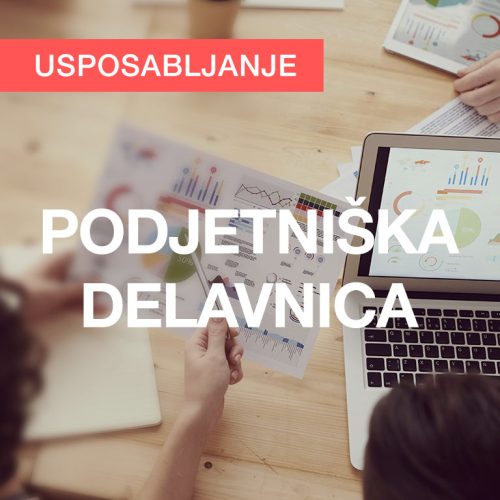 Podjetniška delavnica (osnove podjetništva, trženje, poslovni načrt)