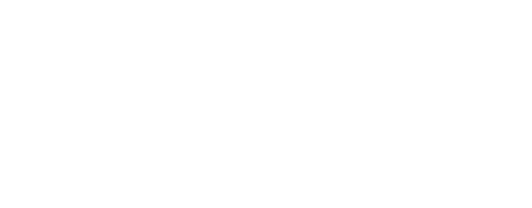 VSŠ